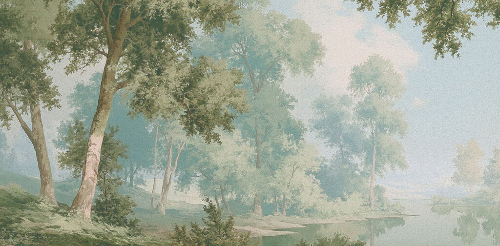Bosco sul fiume — design completo