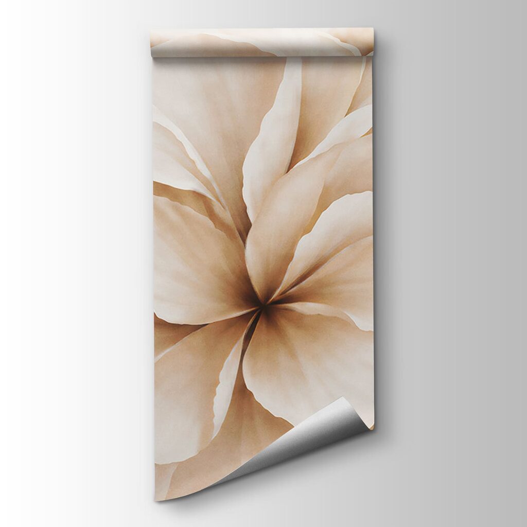 Grandi fiori in crema — vista del prodotto