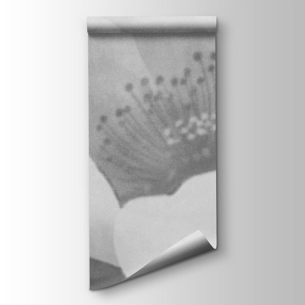 Un fiore si risveglia — vista del prodotto