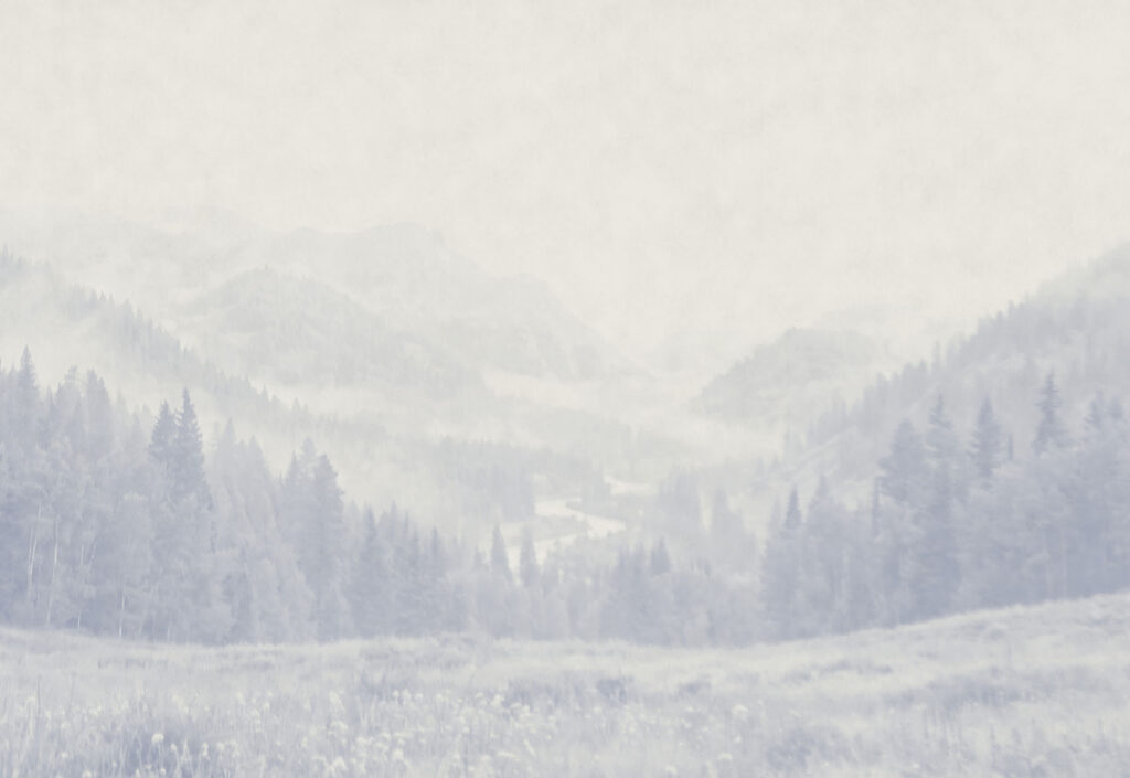 Prato di montagna azzurro — design completo