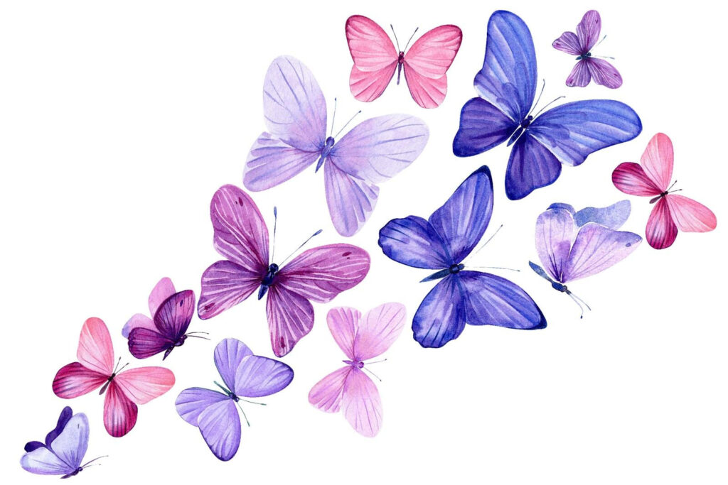 Farfalle in volo — design completo
