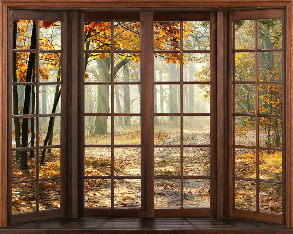 Bosco d’autunno — design completo