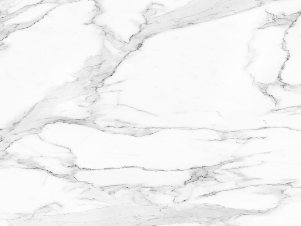 Lunghe vene su crema — design completo