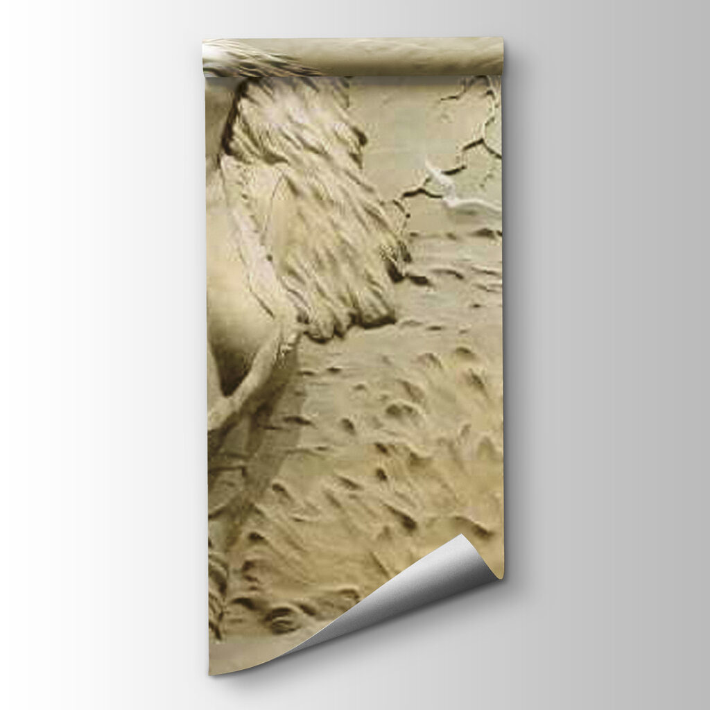Figura femminile tra dune — vista del prodotto