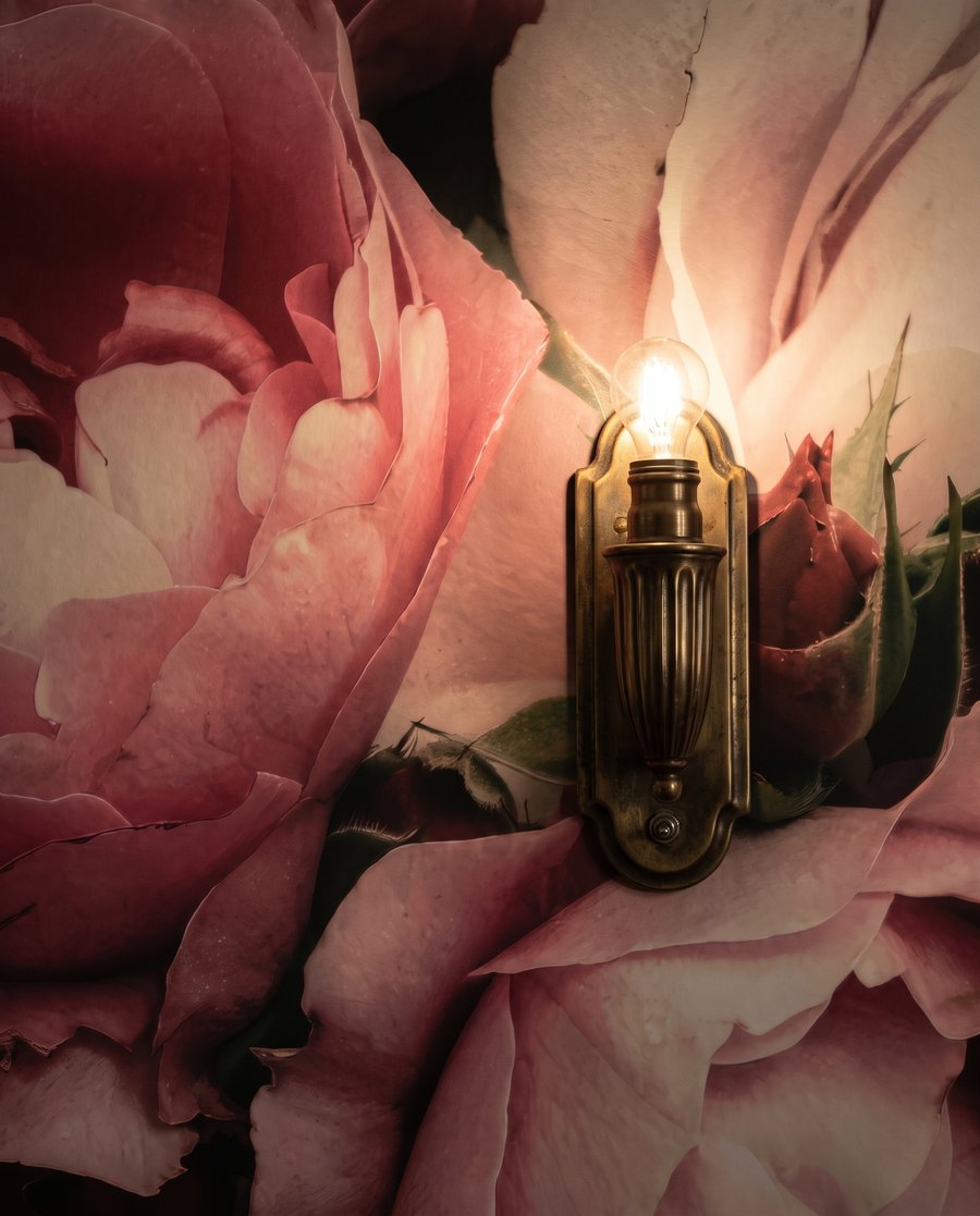 Peonie in ombra rosa — dettaglio