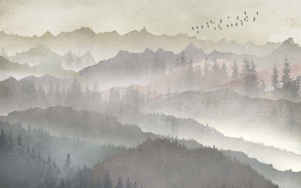 Nebbia tra le colline — design completo