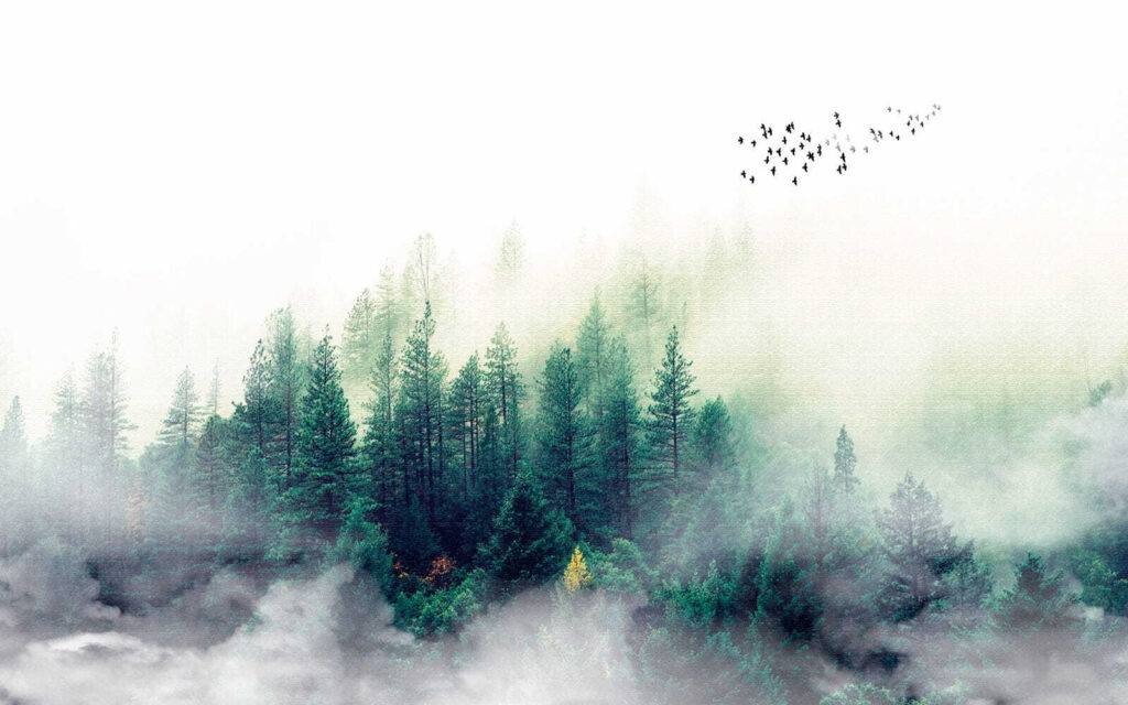 Piccoli pini nella nebbia — design completo