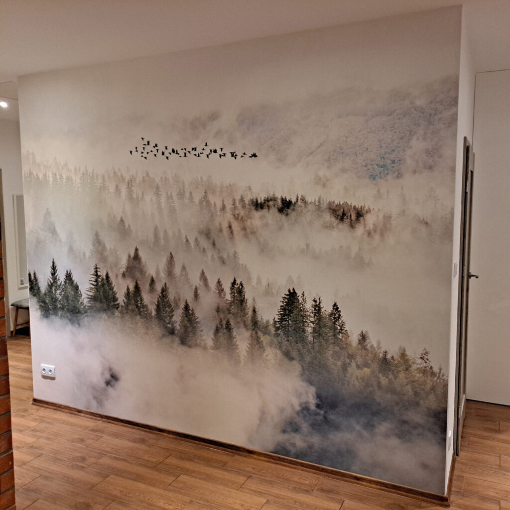 Uccelli sopra la nebbia — ambiente 8