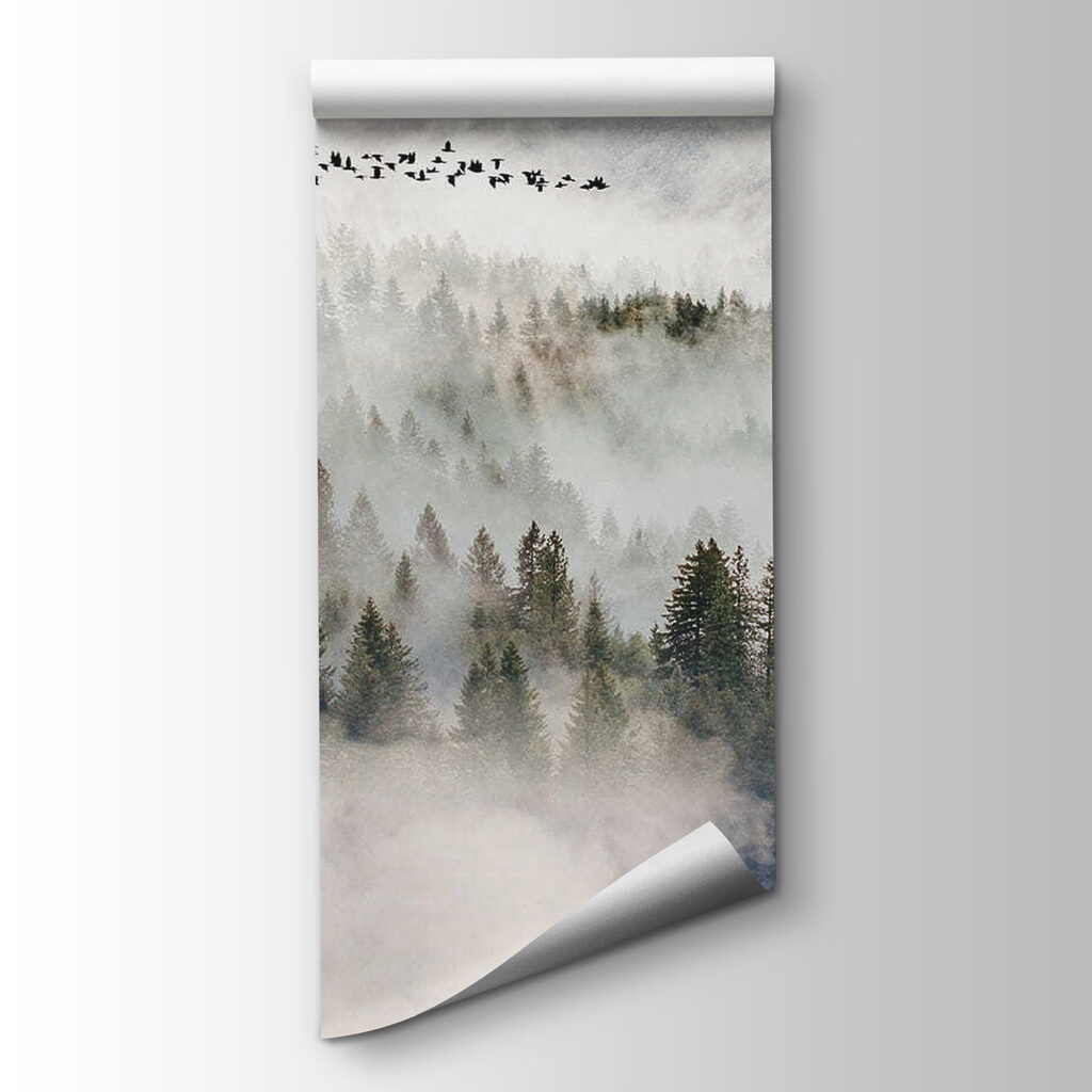 Uccelli sopra la nebbia — vista del prodotto