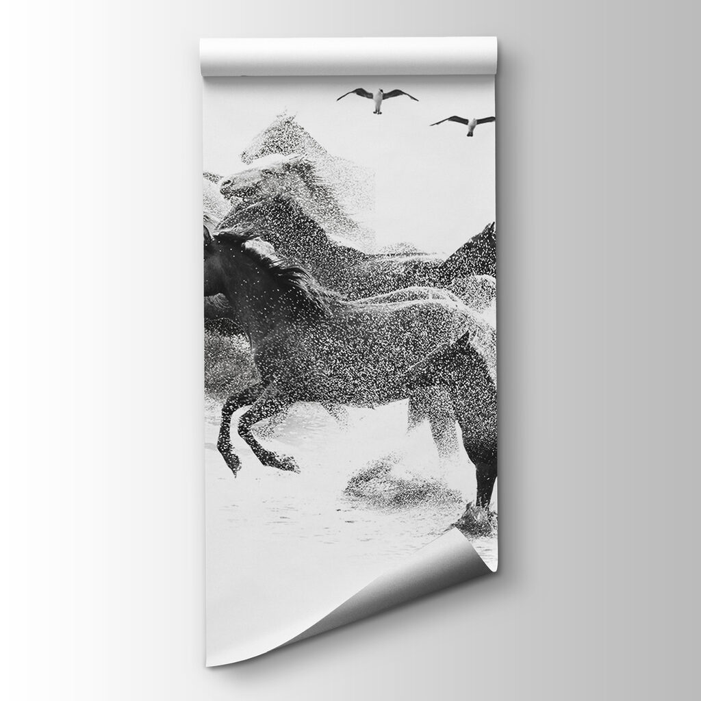 Cavalli a carboncino — vista del prodotto