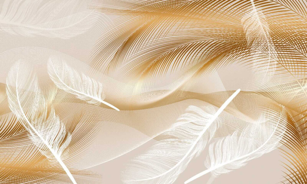 Piume nella luce calda — design completo