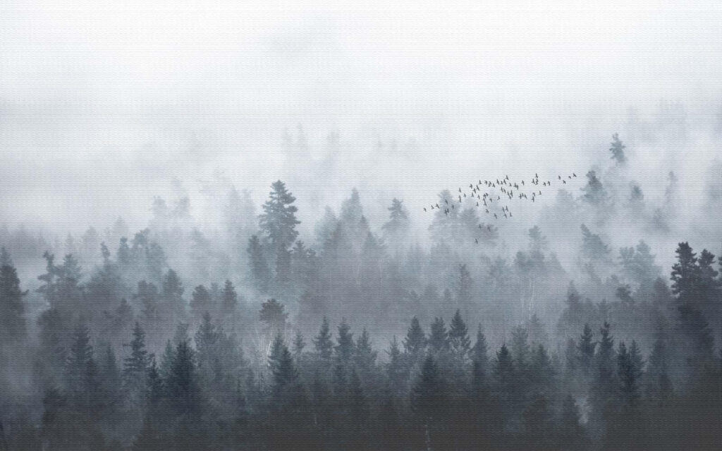 Stormo sopra il bosco — design completo
