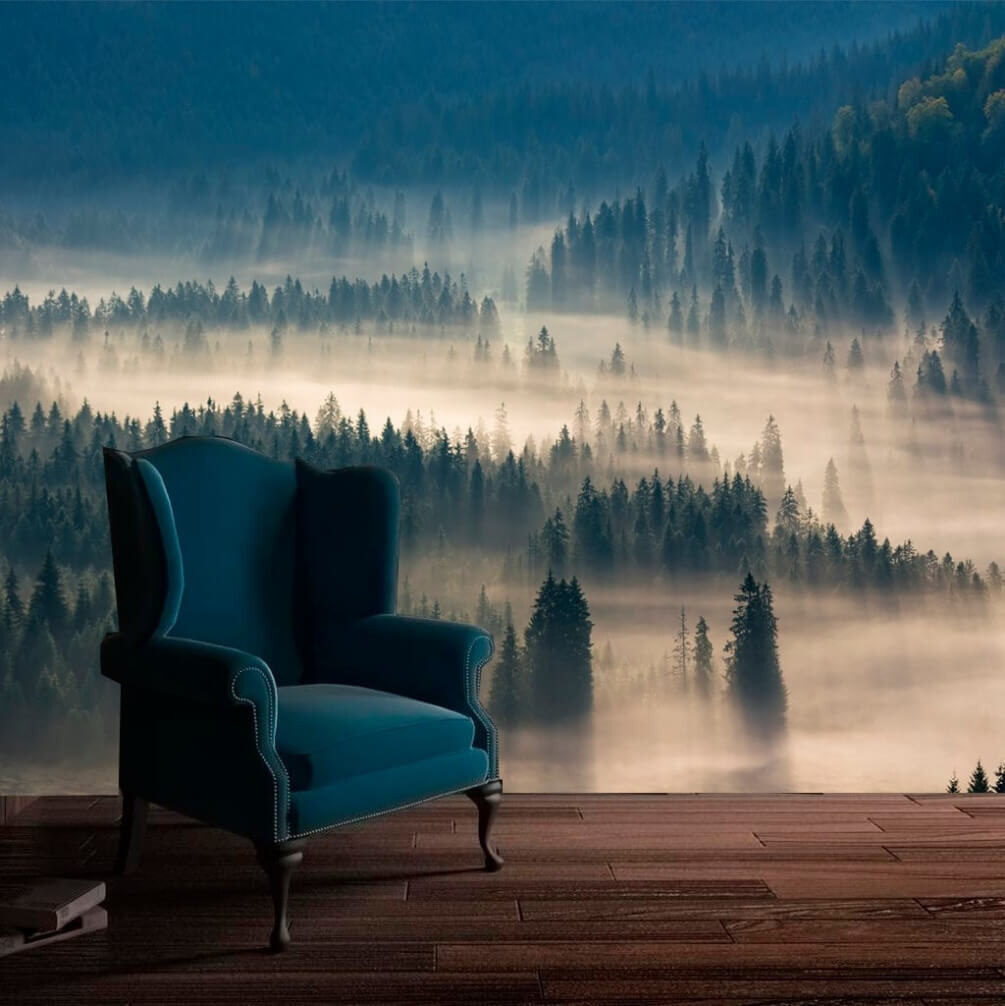 Valle di pini — ambiente 1