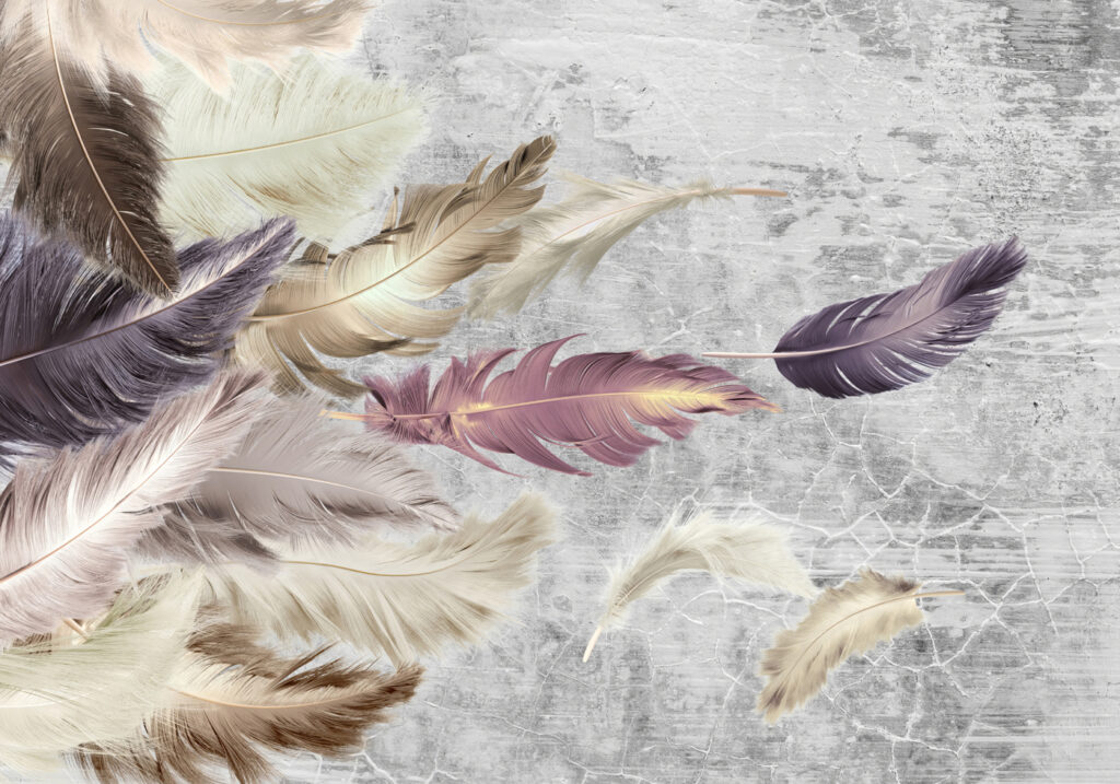 Piume su vernice consumata — design completo