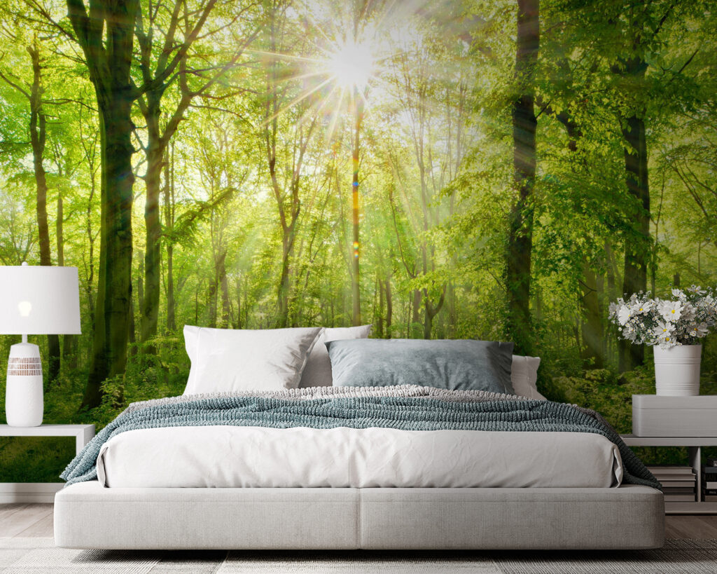 Sole nel bosco — ambiente 2