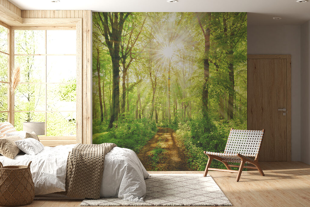 Sole nel bosco — ambiente 7