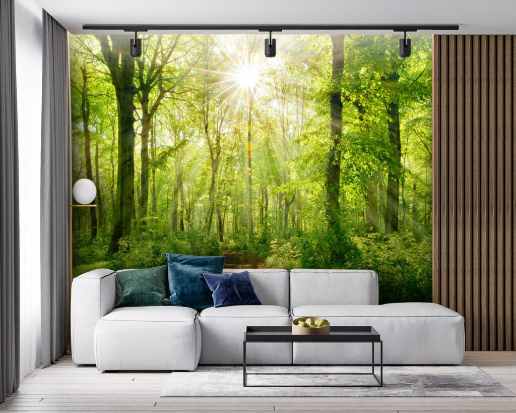 Sole nel bosco — ambiente 3