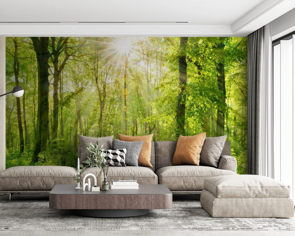 Sole nel bosco — ambiente 4