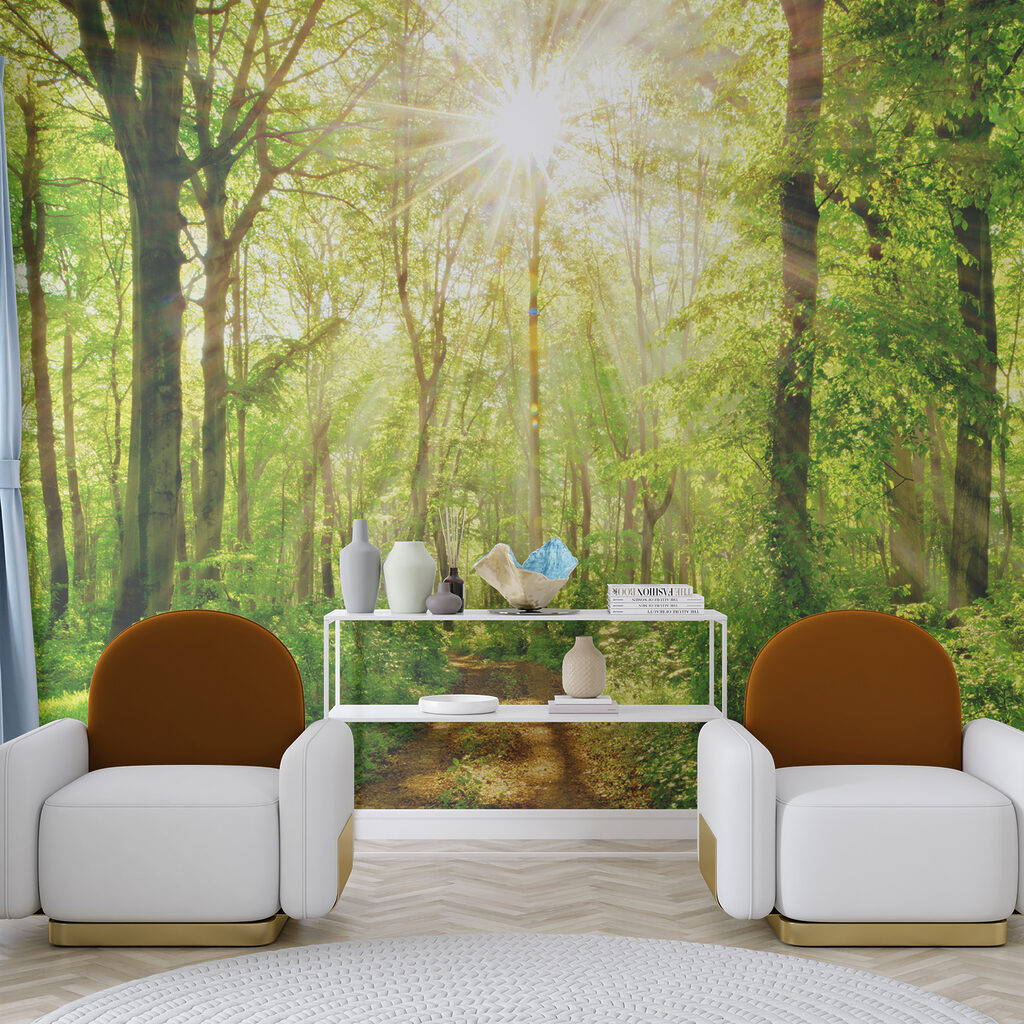 Sole nel bosco — ambiente 6