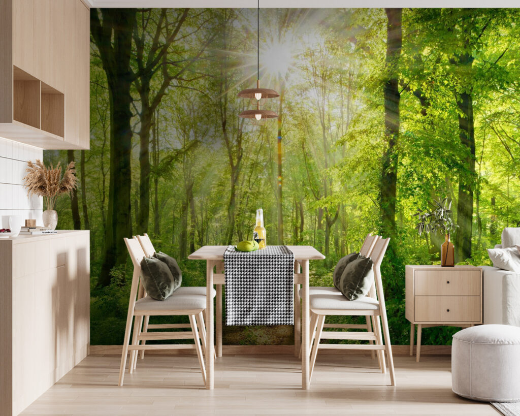 Sole nel bosco — ambiente 5