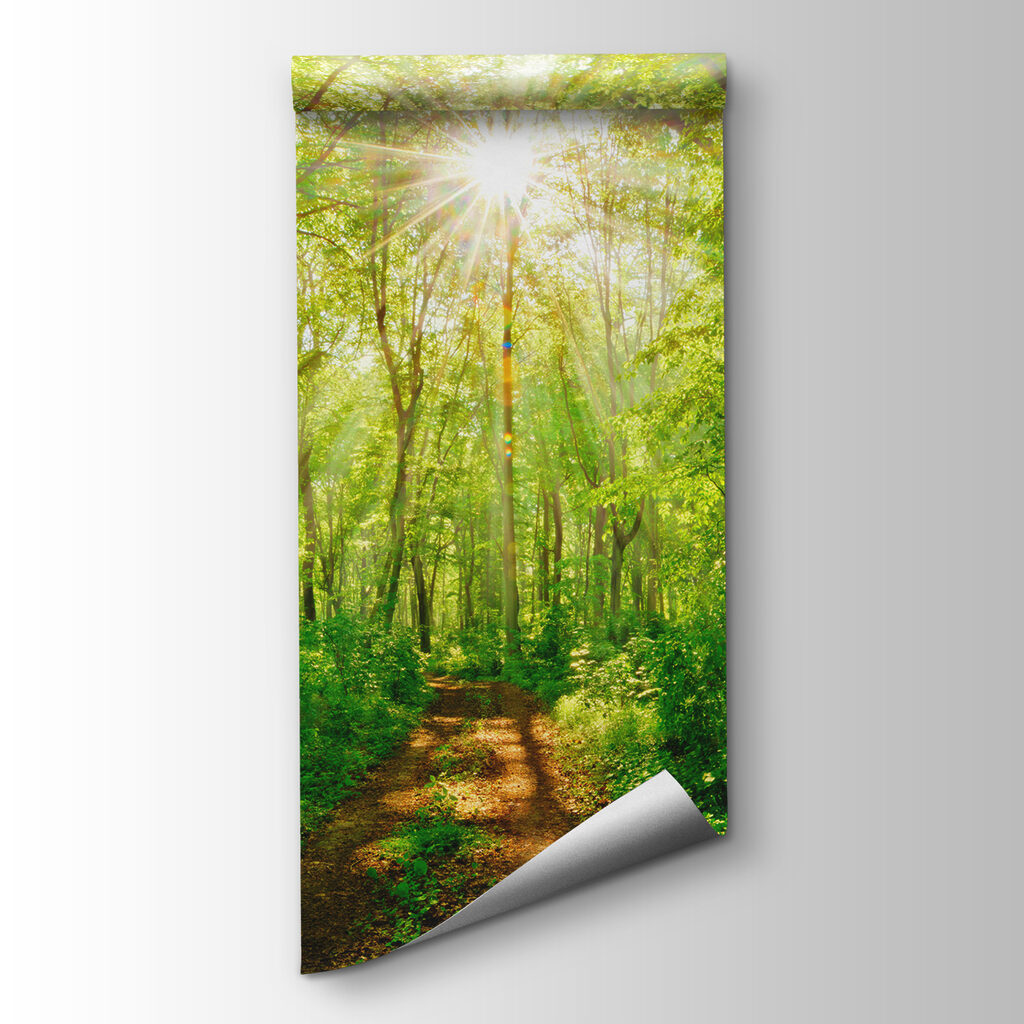Sole nel bosco — vista del prodotto