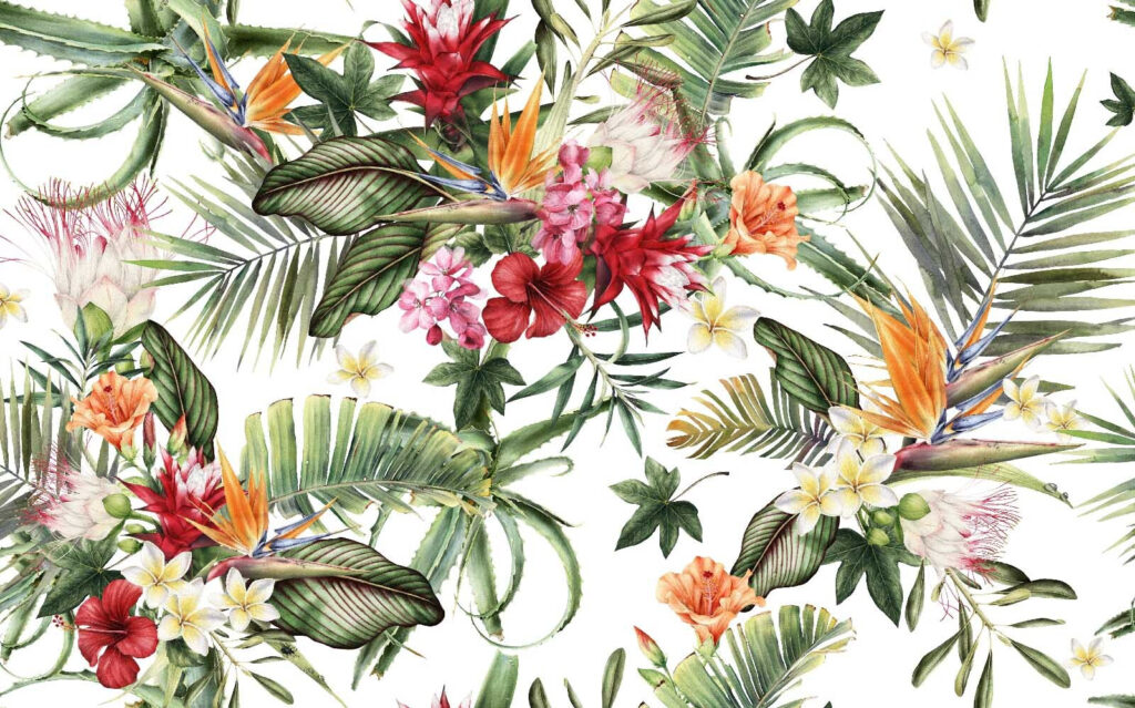 Giardino tropicale su bianco — design completo