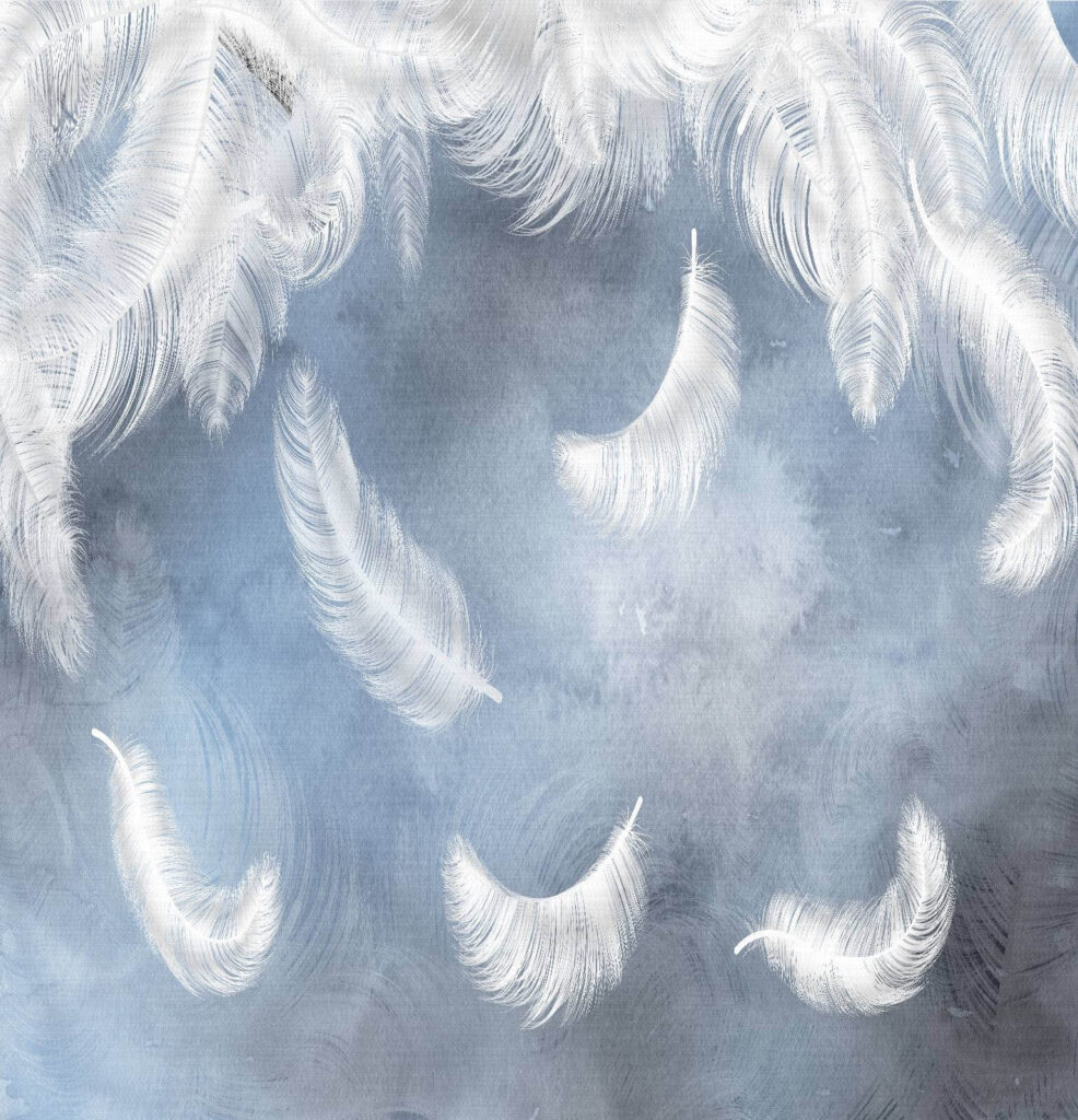 Piume tra nuvole blu — design completo