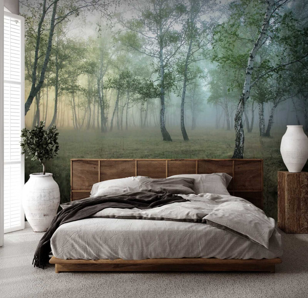 Bosco di betulle — ambiente 2