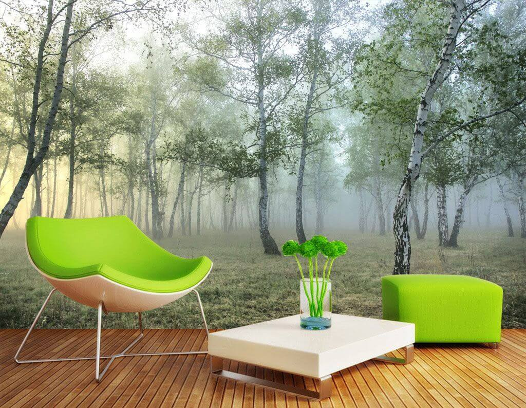 Bosco di betulle — ambiente 1