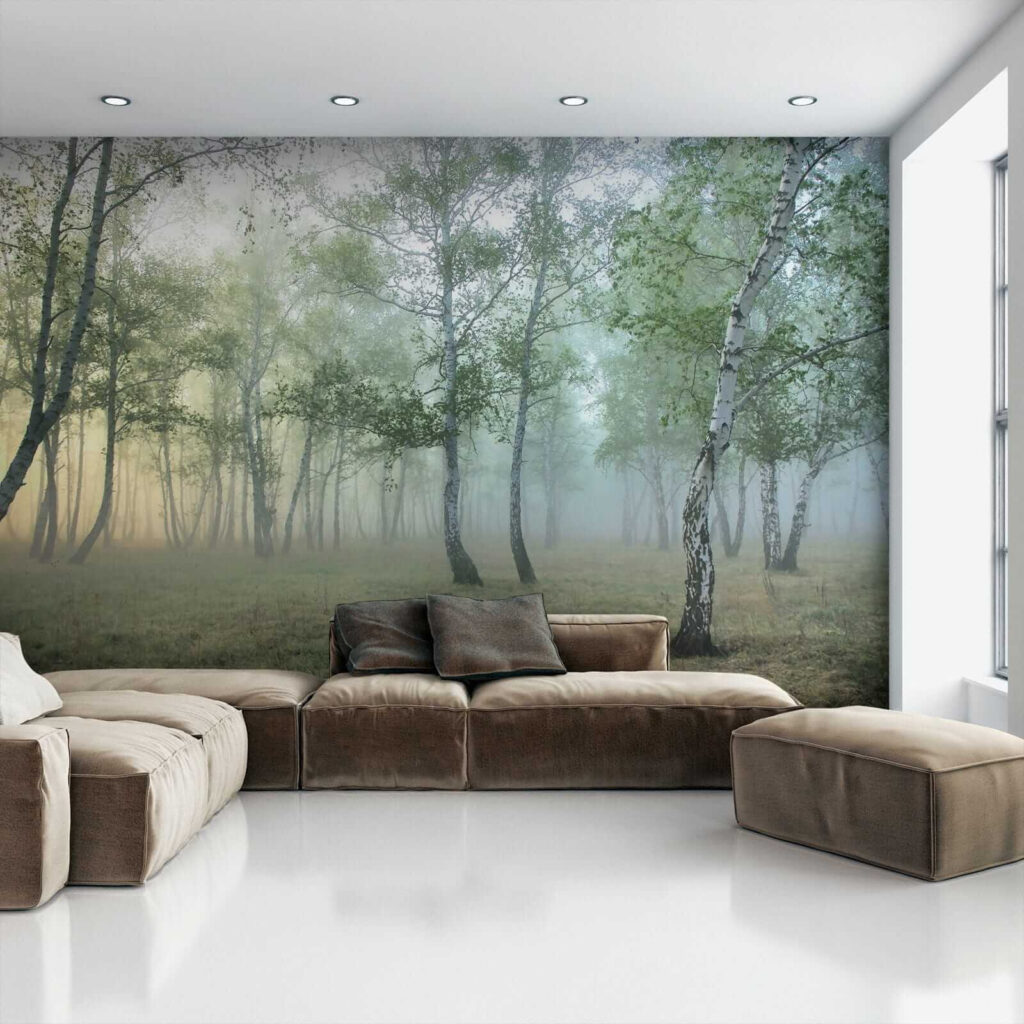 Bosco di betulle — ambiente 5
