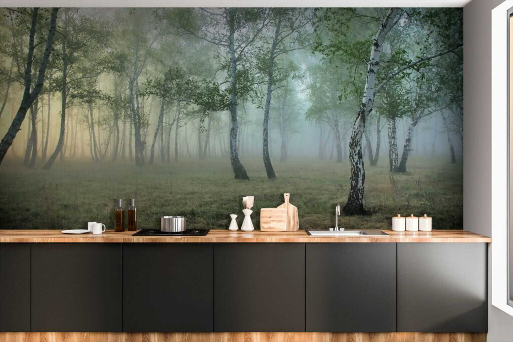 Bosco di betulle — ambiente 7