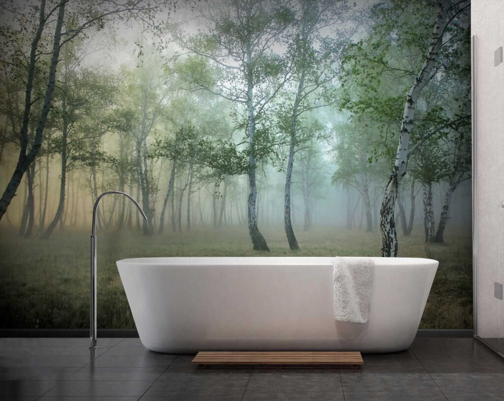 Bosco di betulle — ambiente 8