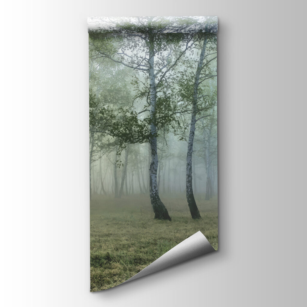 Bosco di betulle — vista del prodotto