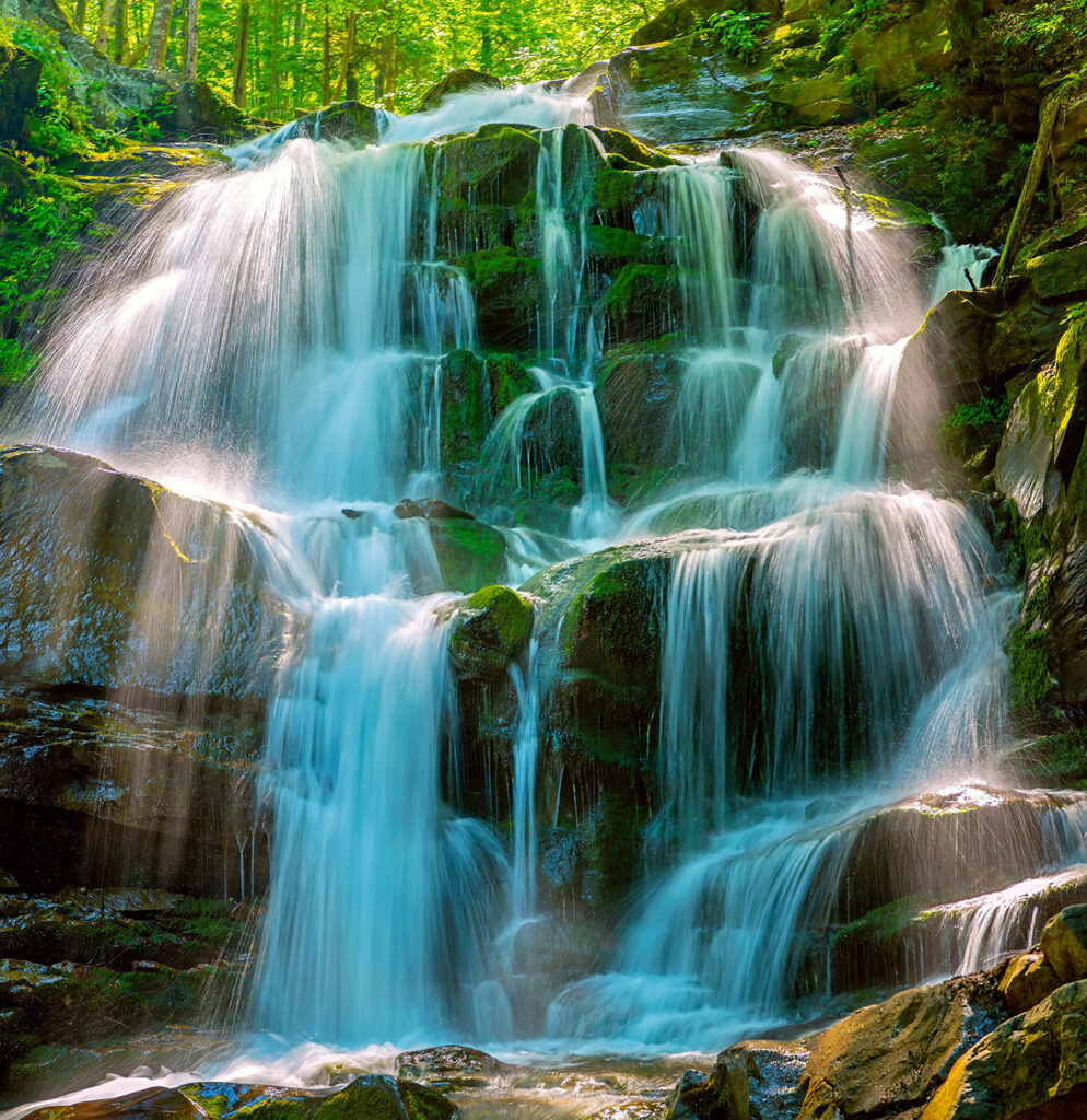 Cascate sopra rocce muschiose — design completo