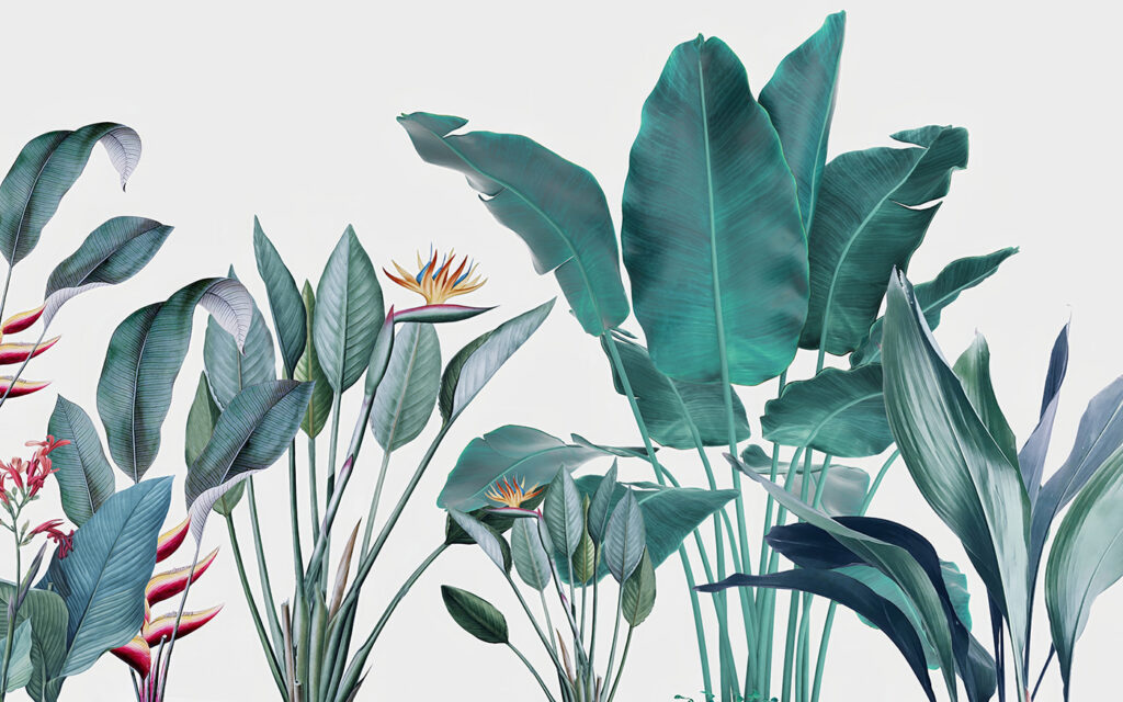 Piante tropicali su bianco — design completo