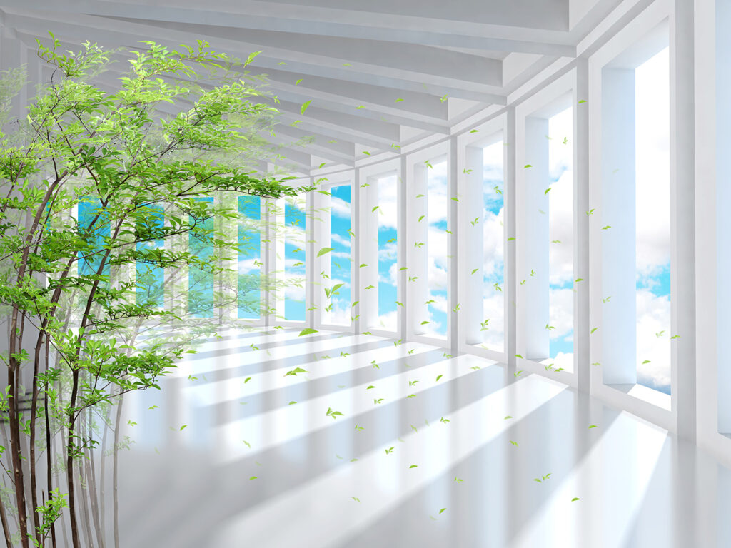 Corridoio luminoso con bambù — design completo