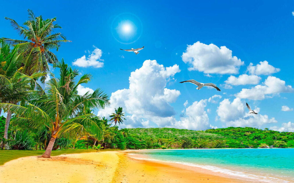 Spiaggia soleggiata con palme — design completo