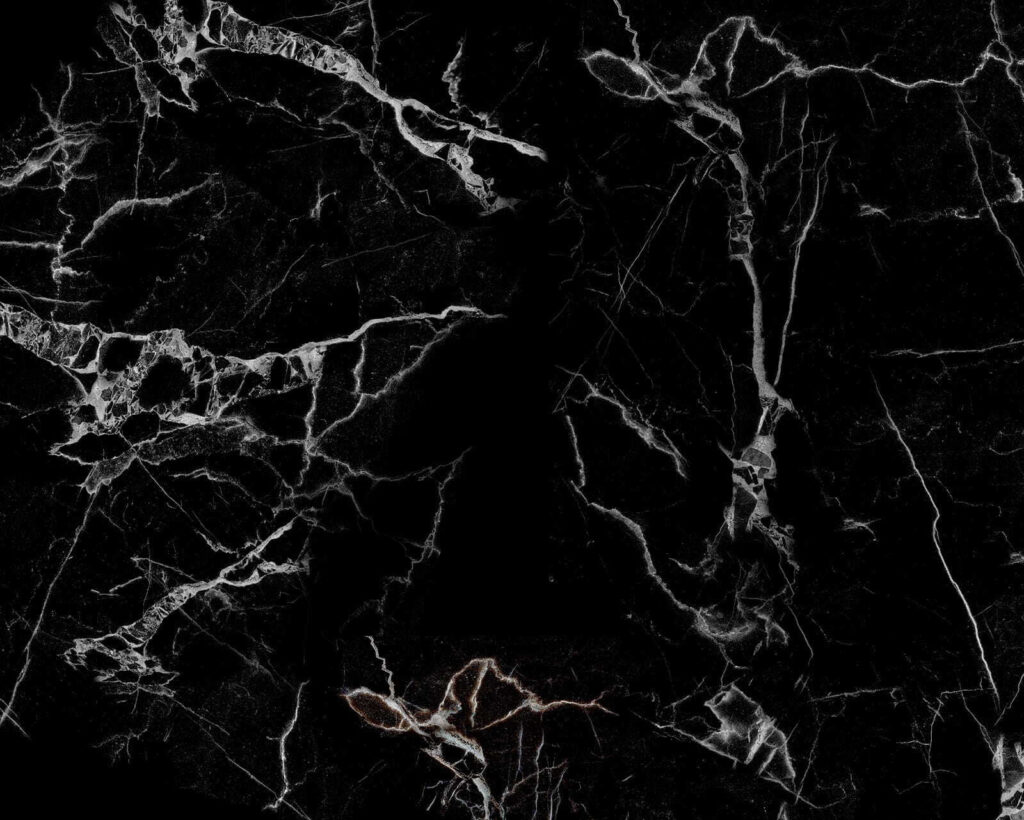 Venature bianche su nero — design completo