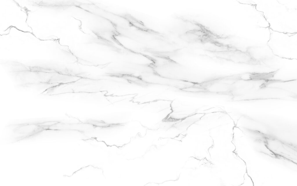 Rete di venature — design completo