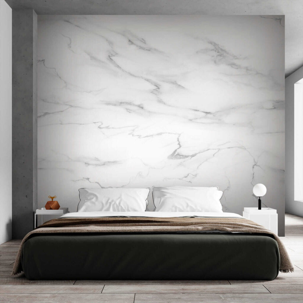 Rete di venature — ambiente 5
