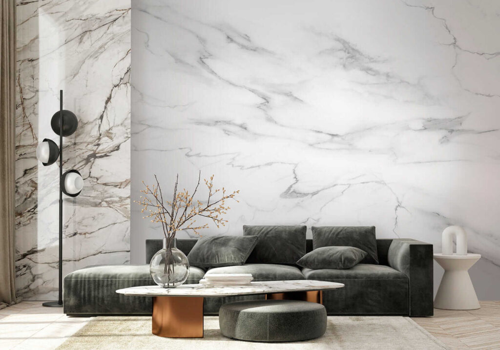 Rete di venature — ambiente 6