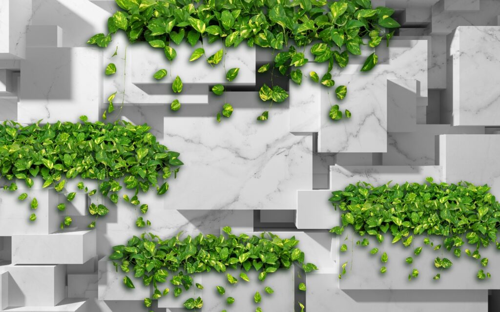 Edera tra blocchi sporgenti — design completo