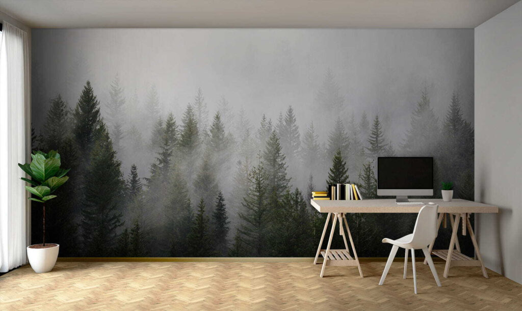 Pini al confine nebbioso — ambiente 9