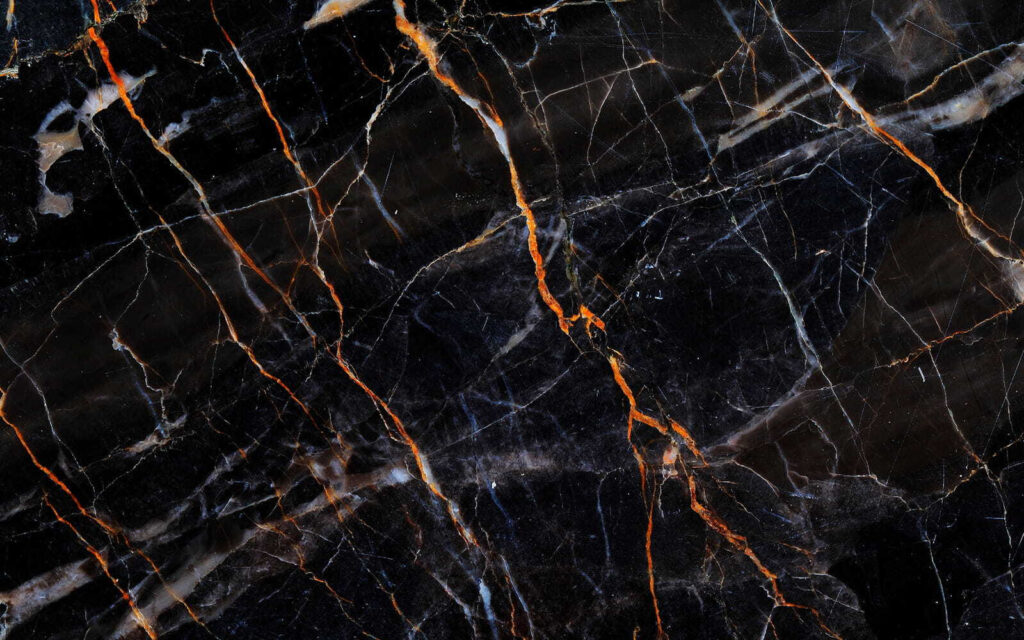 Venature ramate su nero — design completo