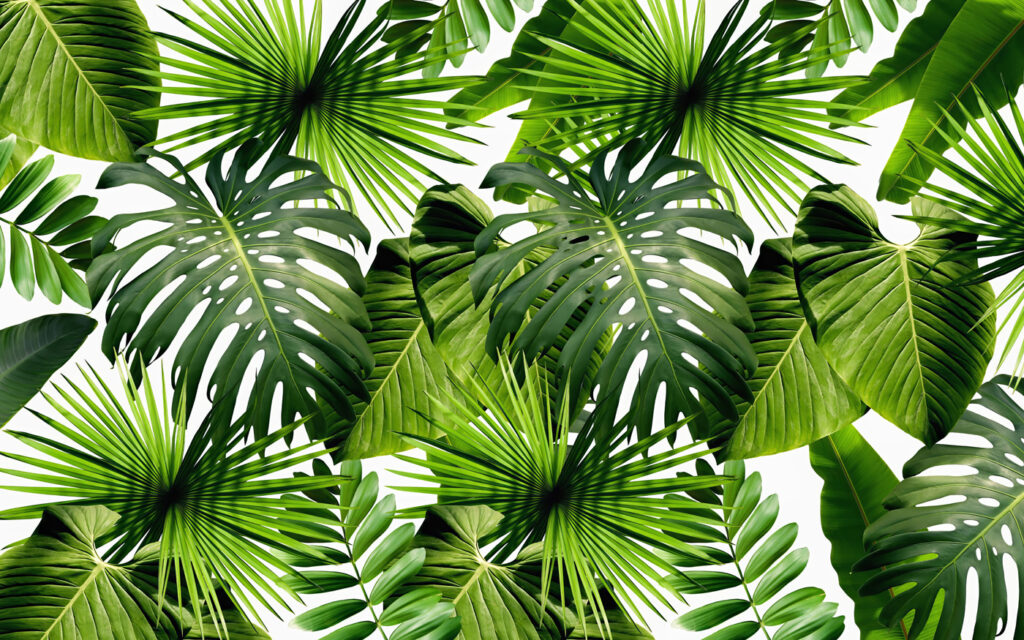 Foglie verde primavera — design completo