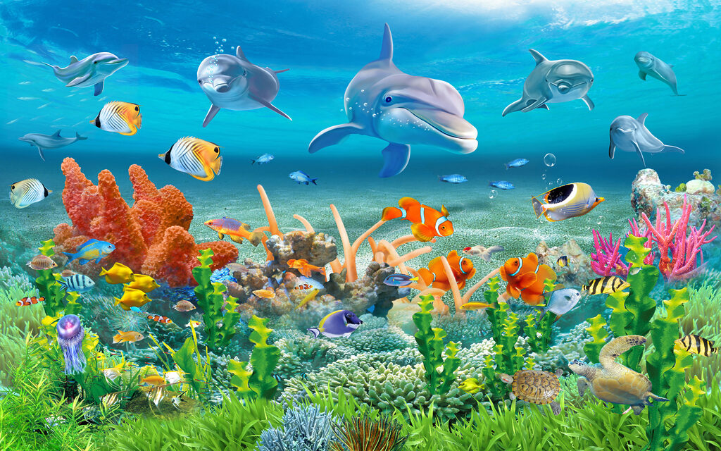 Delfini sopra il corallo — design completo