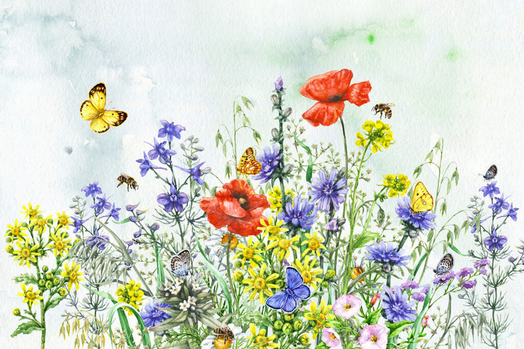 Farfalle su campo fiorito — design completo