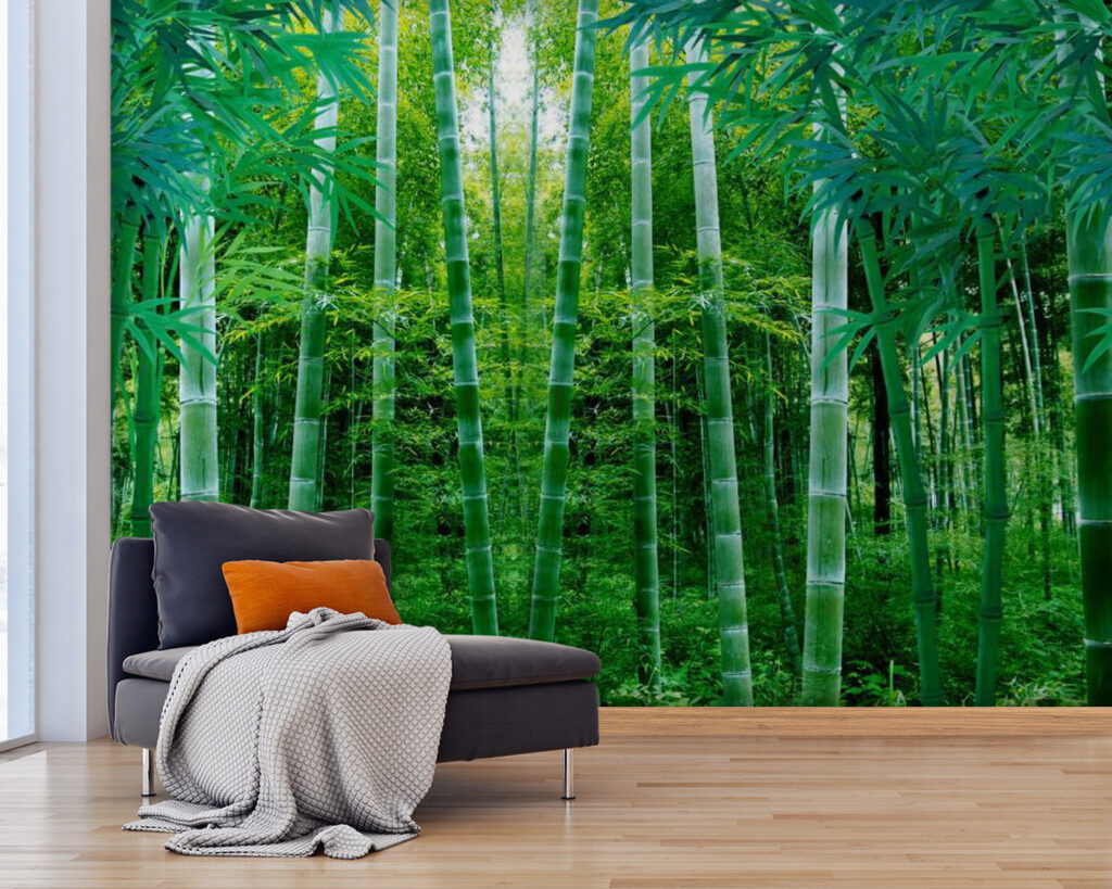 Luce tra i bambù — ambiente 2