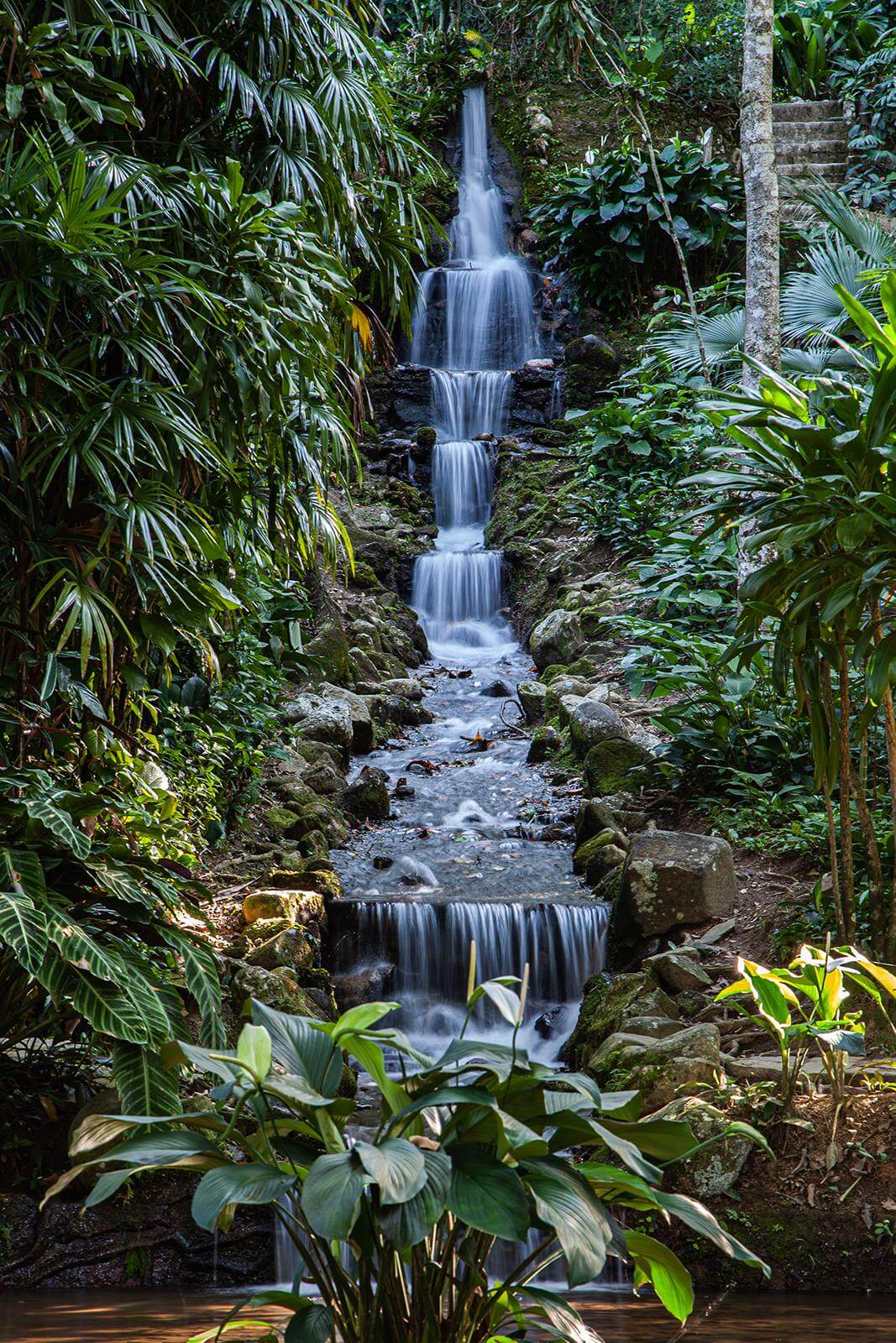 Cascata nella giungla — design completo