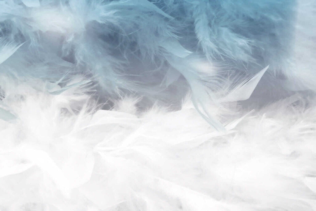 Piume in nebbia azzurra — design completo